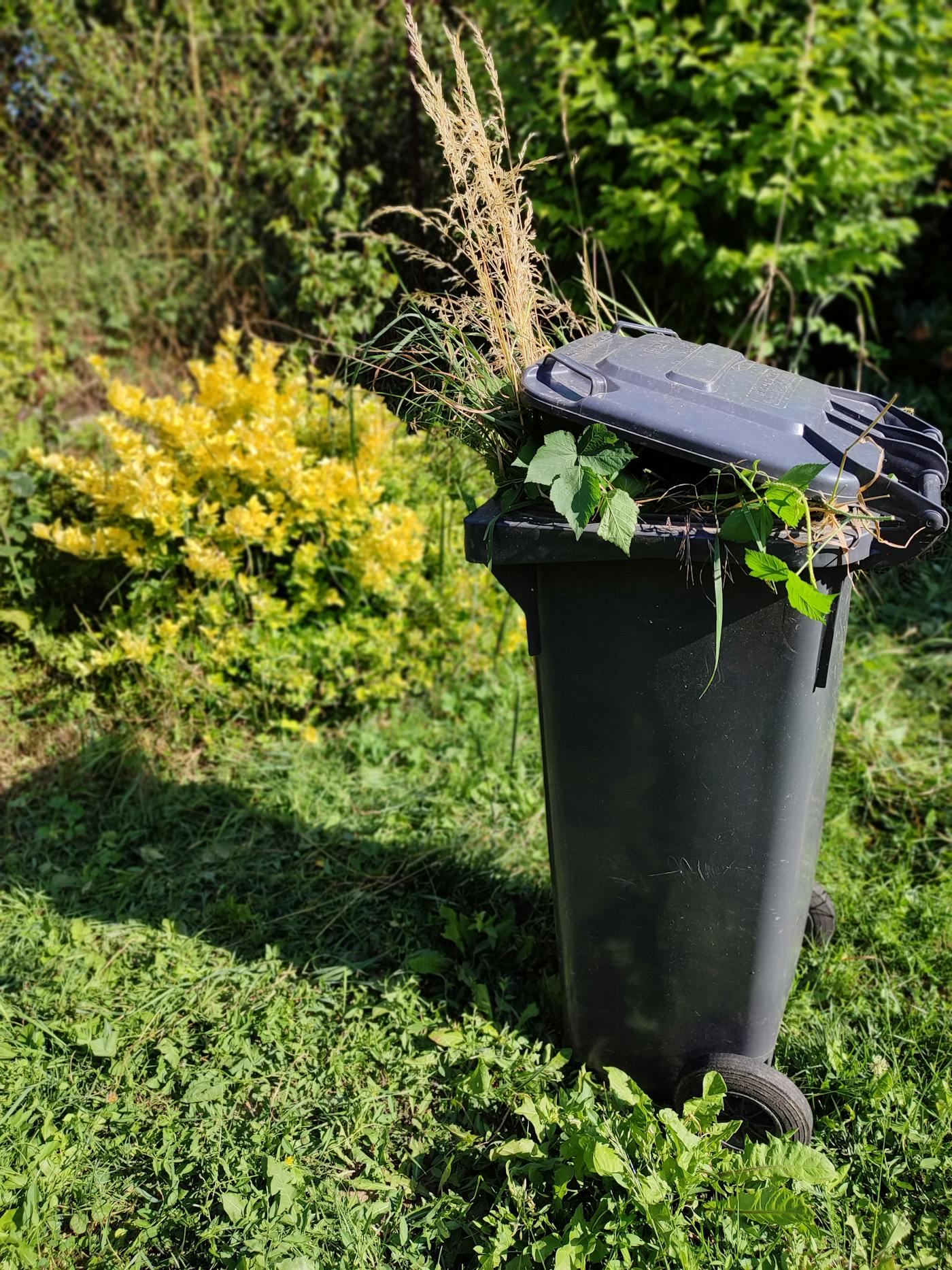 Garden waste bin with foliage